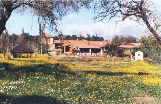 Cortijo Zalamea Villa Zalamea la Real Exterior photo