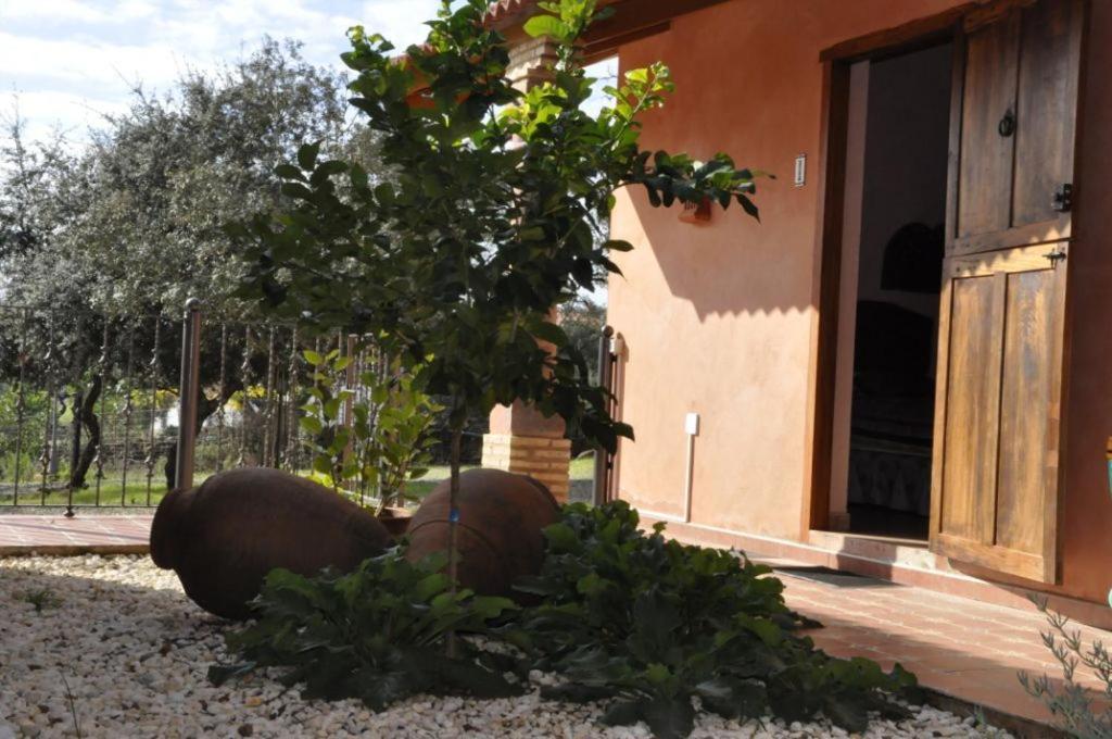 Cortijo Zalamea Villa Zalamea la Real Room photo